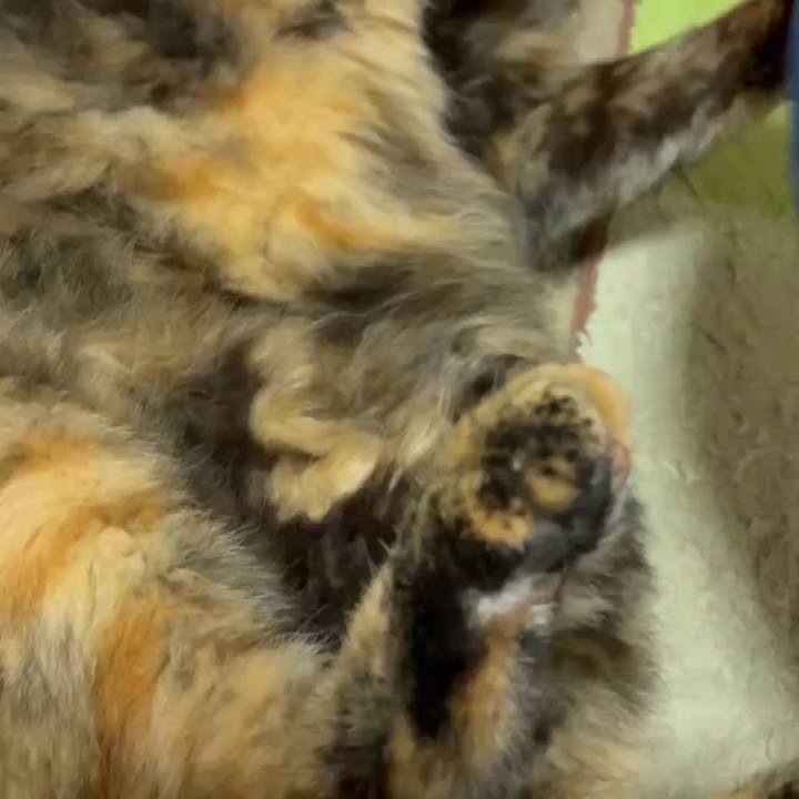 61ad92eb 54c4 4905 95e4 1c1bad4463d2 1751057162753