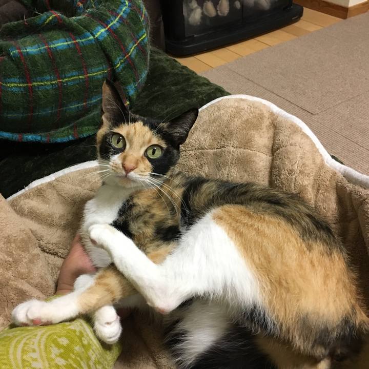 61ad9e9f 09f6 413f bed4 e56a43405274 1518772391867