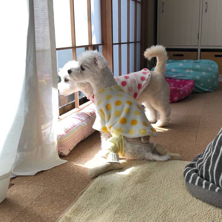 61adb36f db8d 4539 97ac 744a28f96fd9 1551178973722