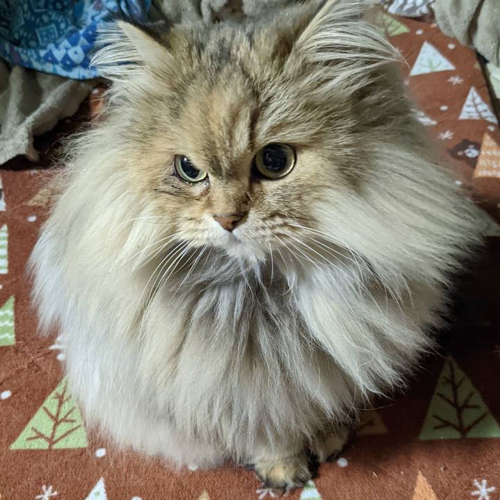 61adc4cd 2aaf 4f51 92ee 83473313cc6f 1643252879611