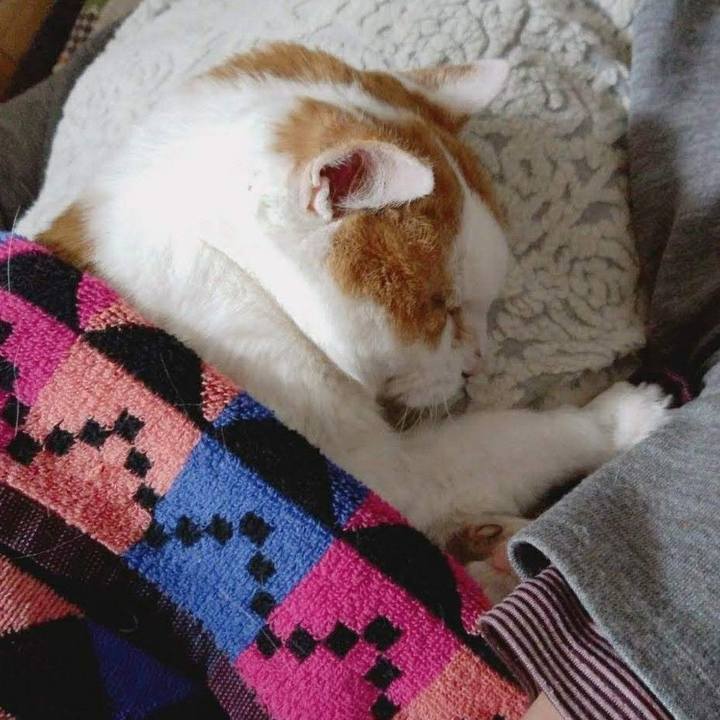 61adec5c 95ff 48fd a5d7 6fa37fe3f99d 1671340050101