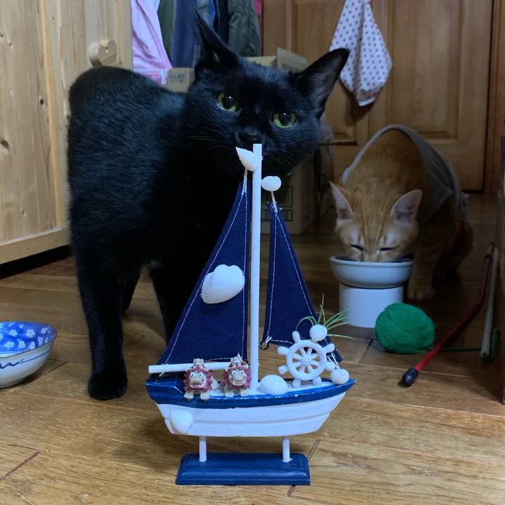 61ae2a1e ae8b 48f5 8012 68896ca60f0f 1600268062889