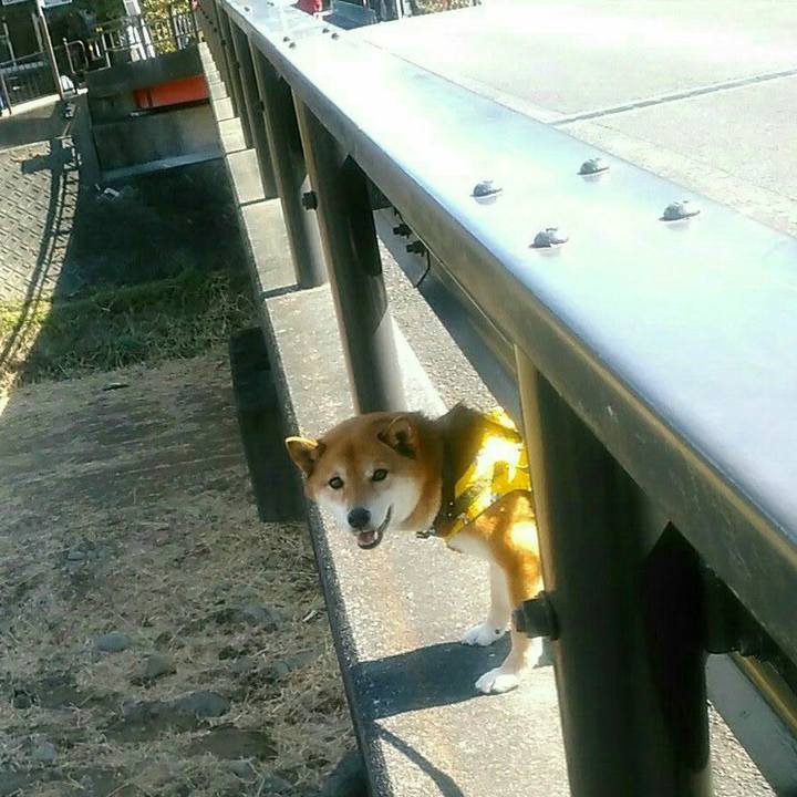 61ae2b41 4feb 4077 ae79 ae1fb5b5802f 1552130984863