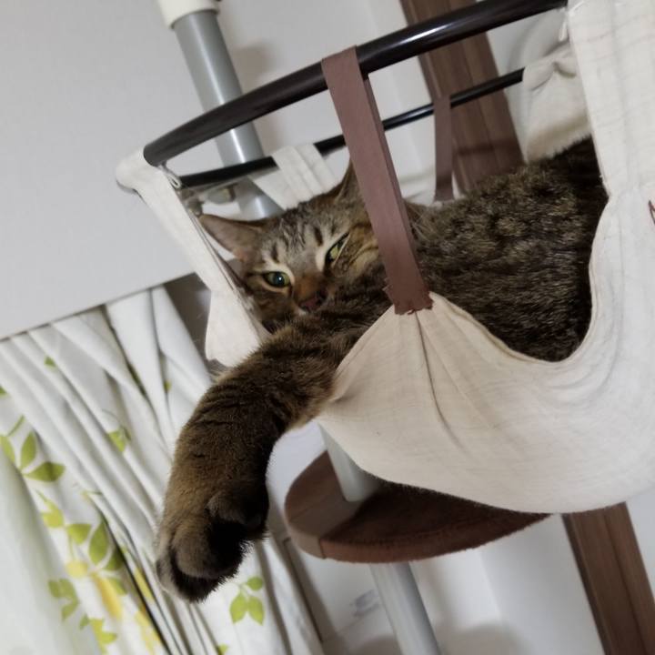 61ae2c25 2292 4eaa a585 da234f314c09 1613388470968