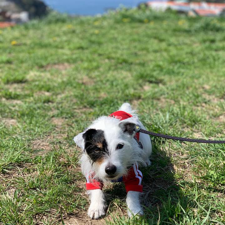 61ae429f a7ab 4a54 af24 58f2c4d41953 1712796720581