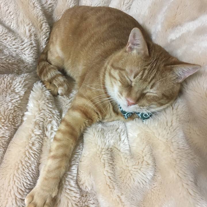 61ae4709 4651 4812 bd5a 4e0aa7ee62d7 1545134766515