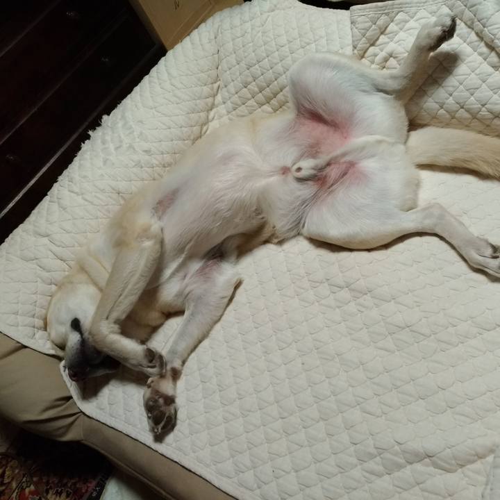 61ae6027 3dd6 443d bdb2 1699509a1520 1639066175811