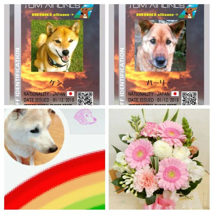 61ae9638 9a46 43d1 954e 898bed632a3a 1579365322469