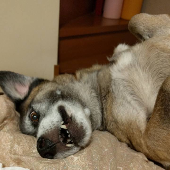 61aeab4a 2c23 482b b7ca 31d86f9aeaff 1509110682611