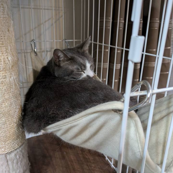 61aeb08d a307 4f11 92fe 46078ea6a9db 1730289702001