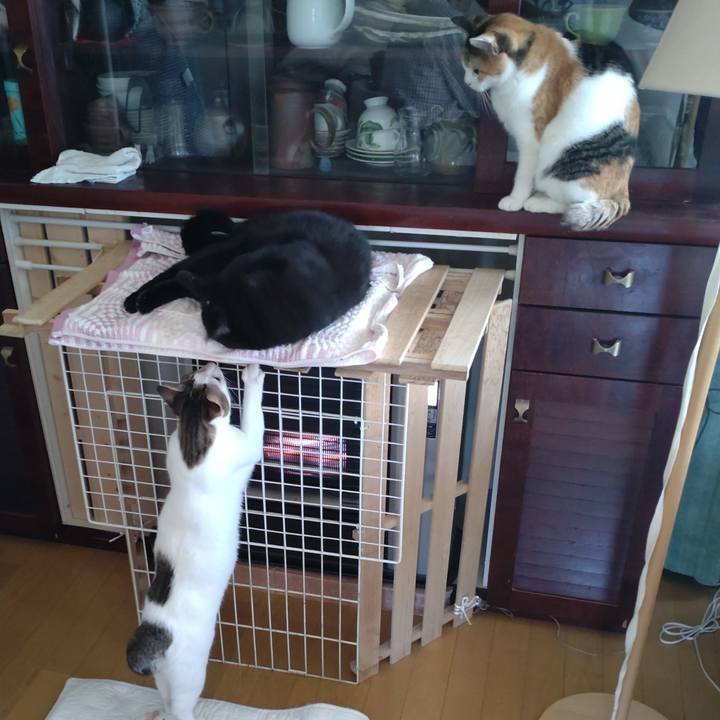 61aeb1ca 10b8 4b14 9610 9d24df2bbeb7 1695511854819