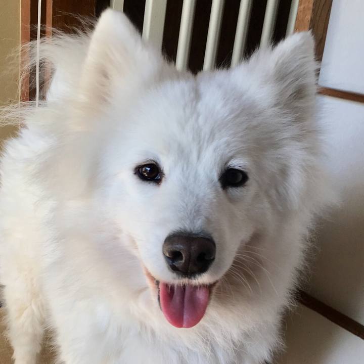 61aecc94 74d0 4525 88fd 609658030a4d 1548565112283