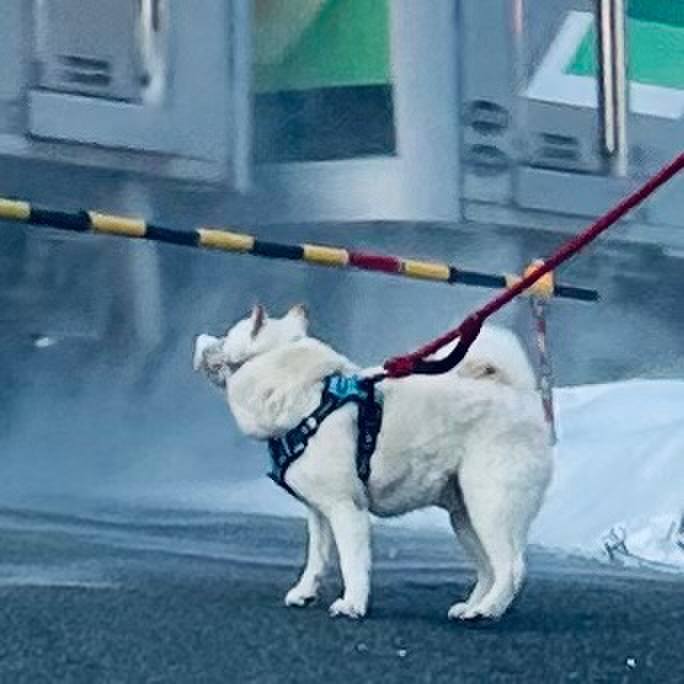 61aed165 db87 4c15 ba37 133b7e0680ad 1736036157095