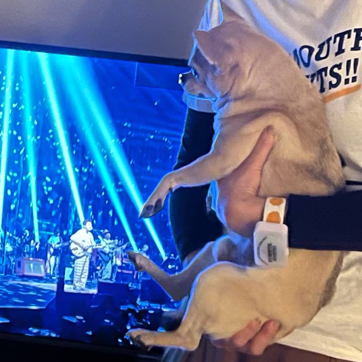 61aedaa6 fd20 4ed3 8926 a90635ddff0d 1641206049438