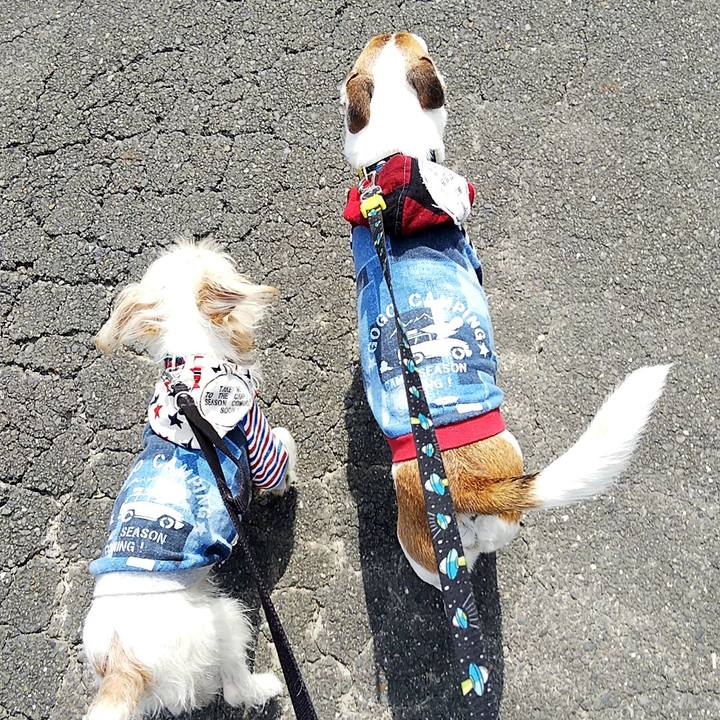 61aee167 8163 48bb ae91 fe8b0148b035 1553320029317