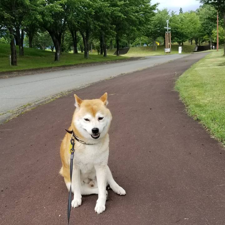 61aee50e eb44 420a 820e 8c3514642415 1593497186891