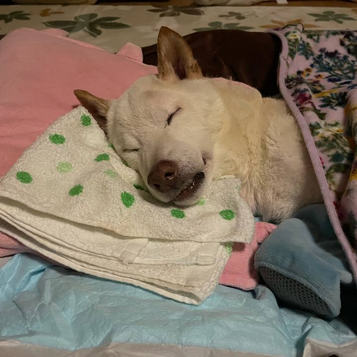 61af1ee9 2a1f 4e07 89a7 da6c80e5d6bd 1671915100360