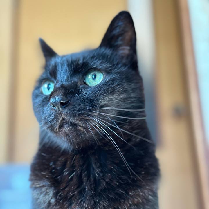 61af2e5f f820 47cc a2d8 0aadc8cb6dfd 1707964419996