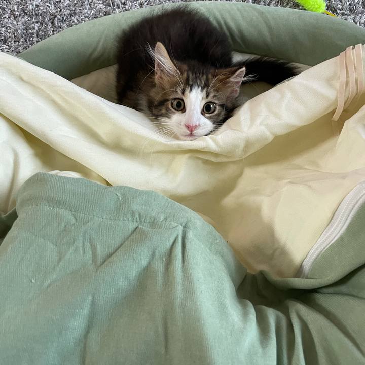 61af3057 fe23 4056 8514 6018ae5f2de1 1632018593082