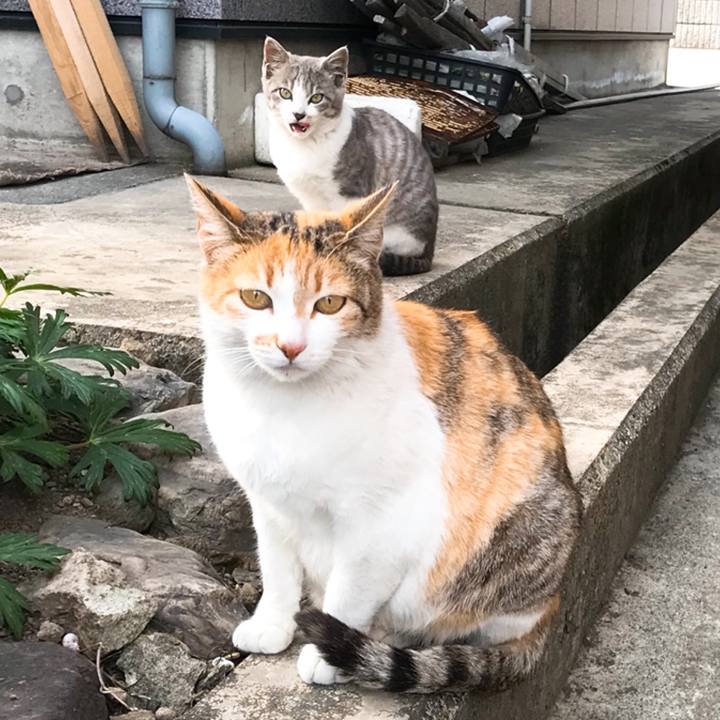 61af565a a15e 440e 9b04 19eaba965190 1522916678159