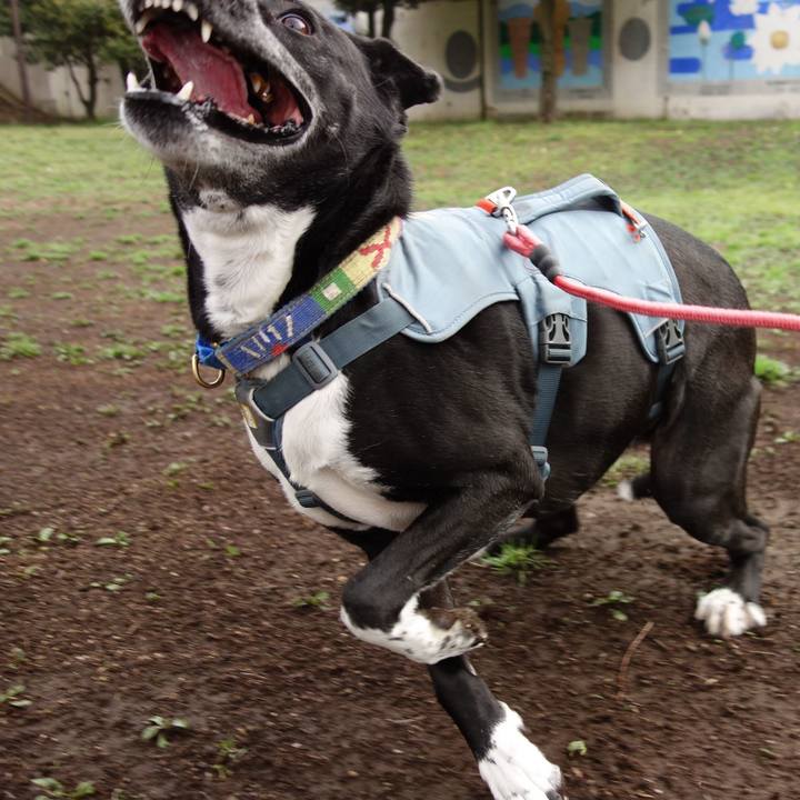 61af5f4f 6d04 4455 9390 82b6ca904ac2 1711760023070