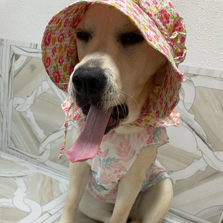 61af6c9b b820 416f b714 5ec5d6520cc5 1627040448834