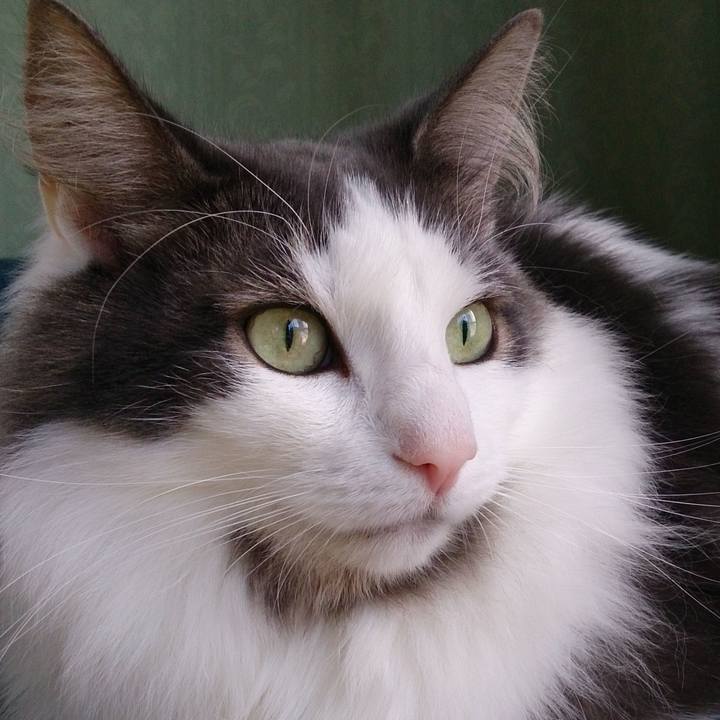 61af7157 f907 4d98 a617 5d8892bf2172 1758717151590