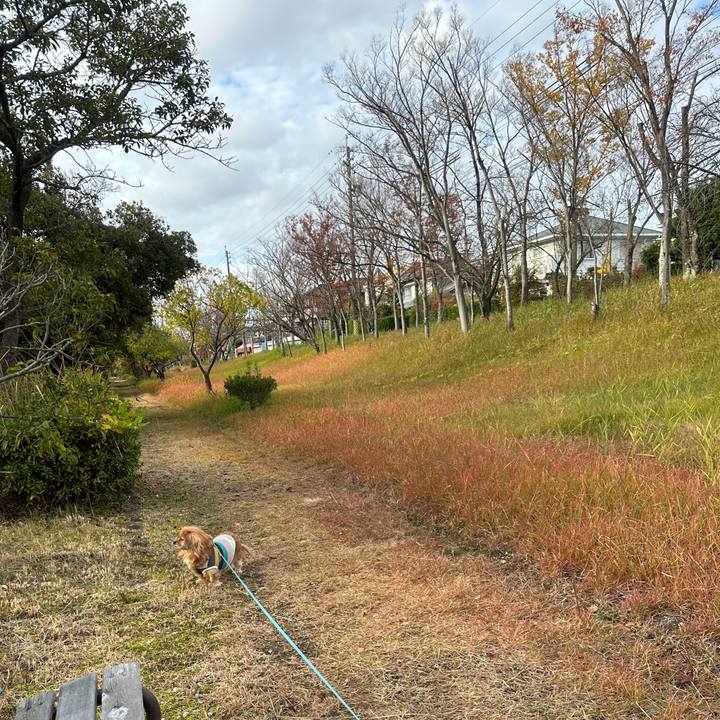 61af7f64 a9e7 4000 b876 8098307aa06d 1700959664260