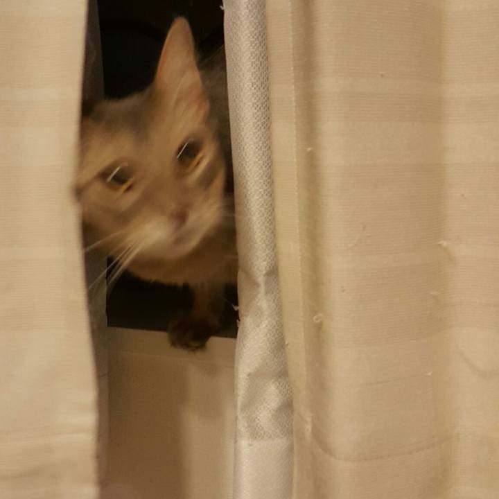 61af890d 1866 4e21 817f 4b97ac923f64 1537158352108