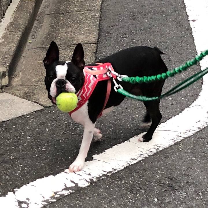 61afcb2d af8e 440d 88ce d64e922d553a 1562062028873