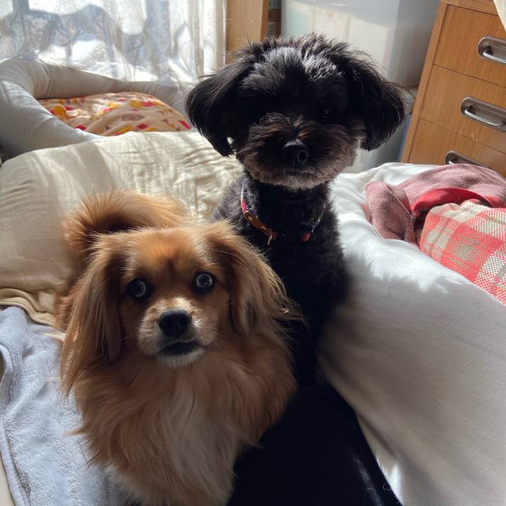 61b04272 735c 448a a5ff 9467e009cee9 1582265339222