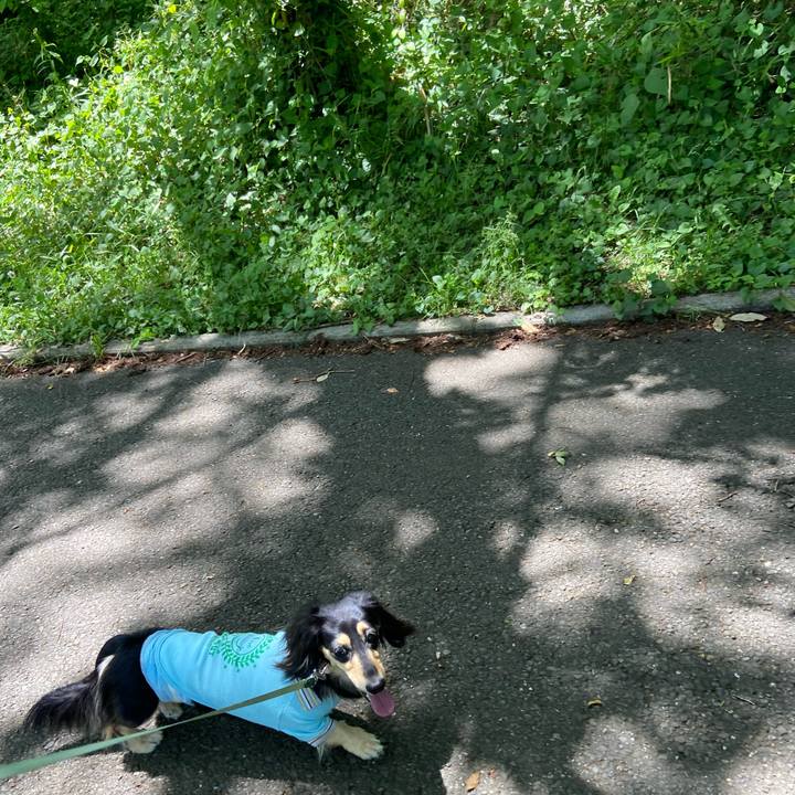 61b05f62 975a 4f54 b786 35fa35a309e3 1715909129438