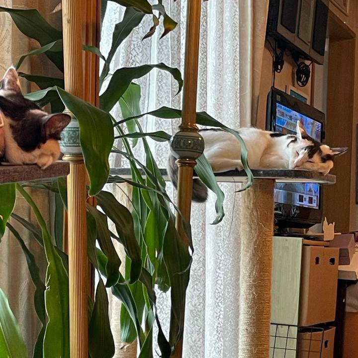 61b07ff4 0b45 4200 8119 30ba28cbd0fd 1758501511053