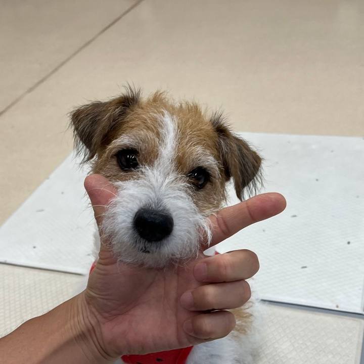 61b080cc 65a1 40ad b567 7f77b3b68a83 1692662091997