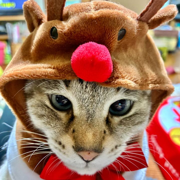 61b08843 fb05 42eb 9f85 db162b0727eb 1766846793255