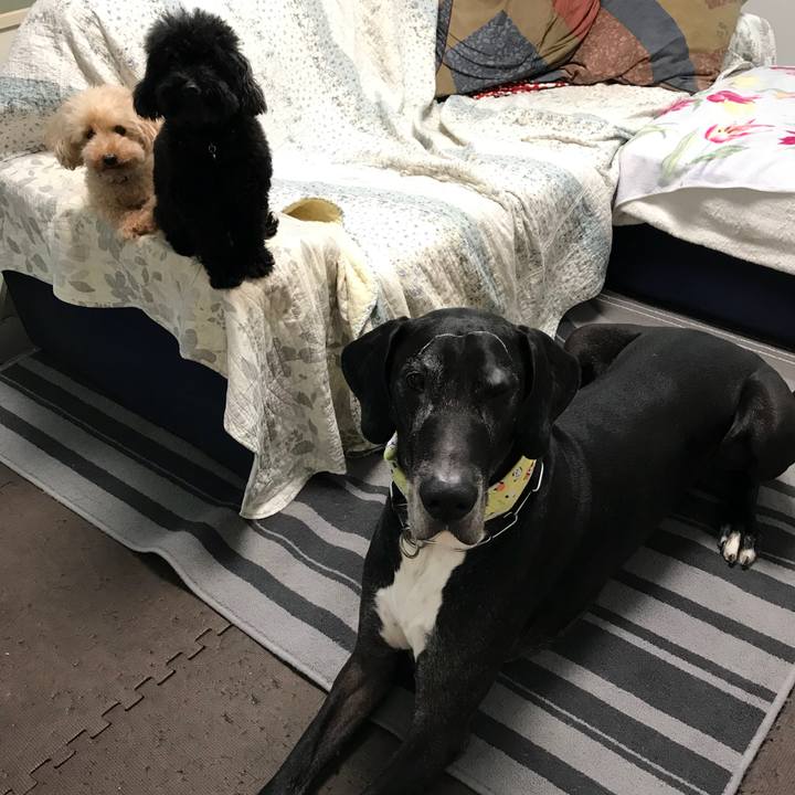 61b09bb5 22f5 4271 94c5 4e215252a0d7 1537310594151