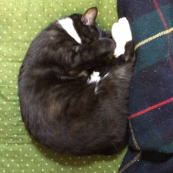 61b0b894 018c 4ede b4d9 93fc54d7a697 1509456044727