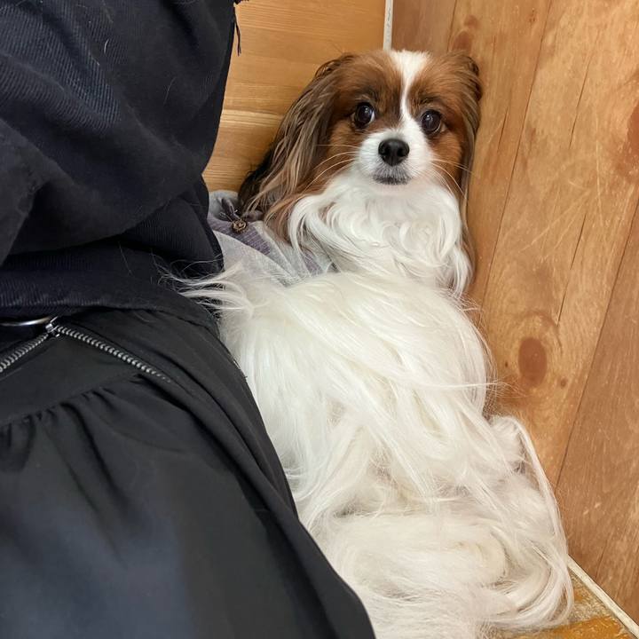 61b0d0dc 60bd 42fe aa8a 894eb4132d29 1717239858253