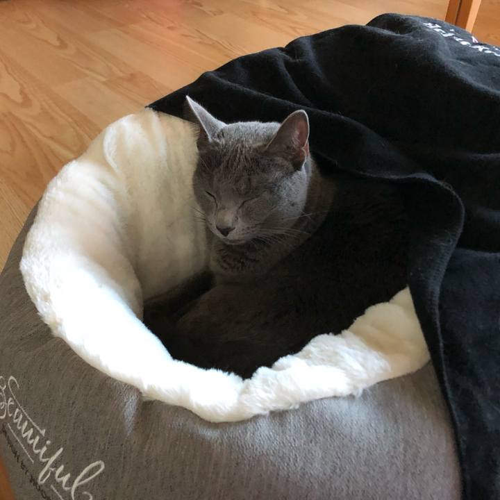 61b0d200 f67c 493d ba77 58bedaf40199 1576742647644