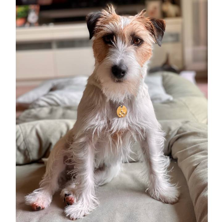 61b11ef0 86c9 4936 9ad2 8ea2618b0c9f 1623559187312