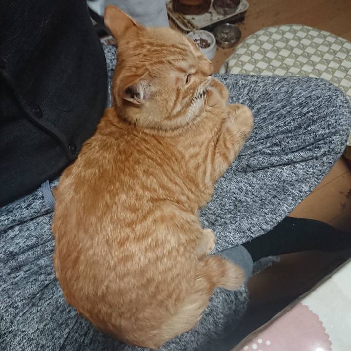 61b16a49 a397 452a b0c0 87a81d38c3b8 1649920990959