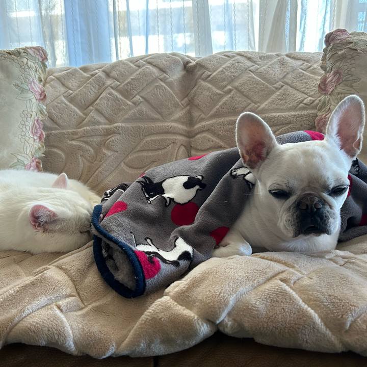 61b21a90 e311 4c73 9e3a 1d6d198fc223 1700132809862