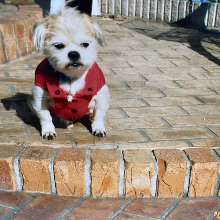 61b23781 46bf 4405 a318 537d3576eed3 1621904234281