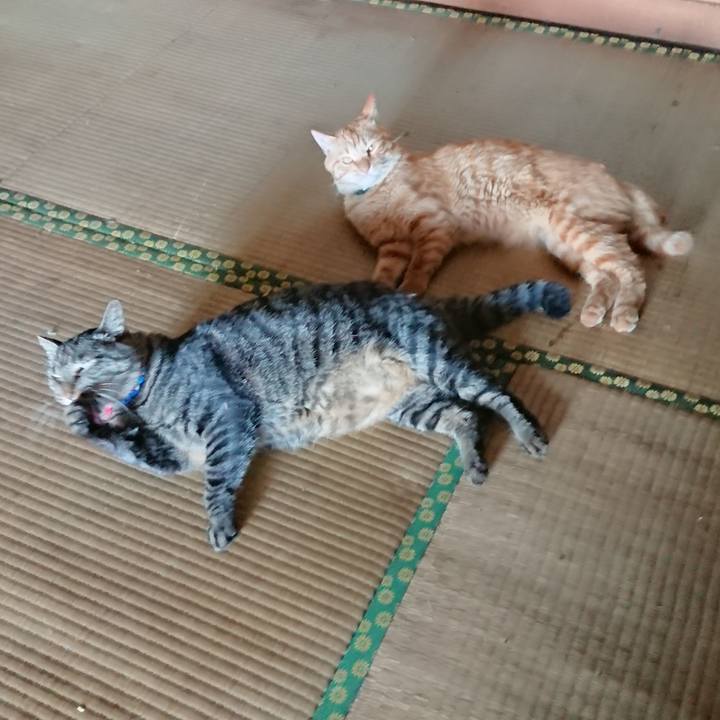 61b247d4 d29a 4f44 8b5c 3ae1fee32118 1662275020955