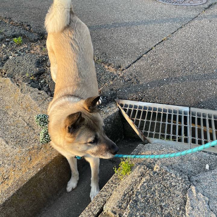 61b26a10 096a 4c78 b139 81ca723abe76 1683634854973