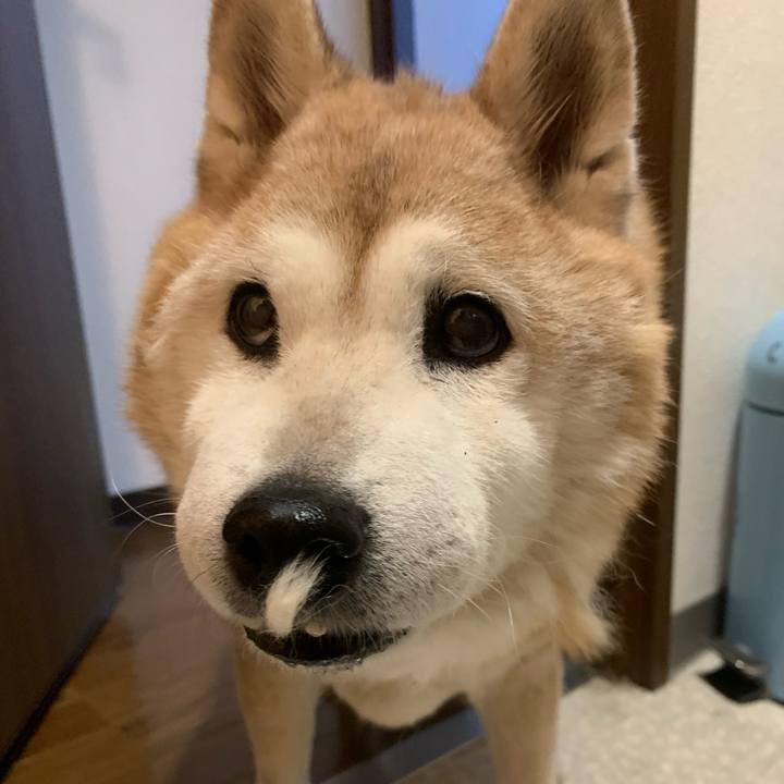 61b27d34 5588 4a35 8ec9 590a6748b4a4 1672754906336