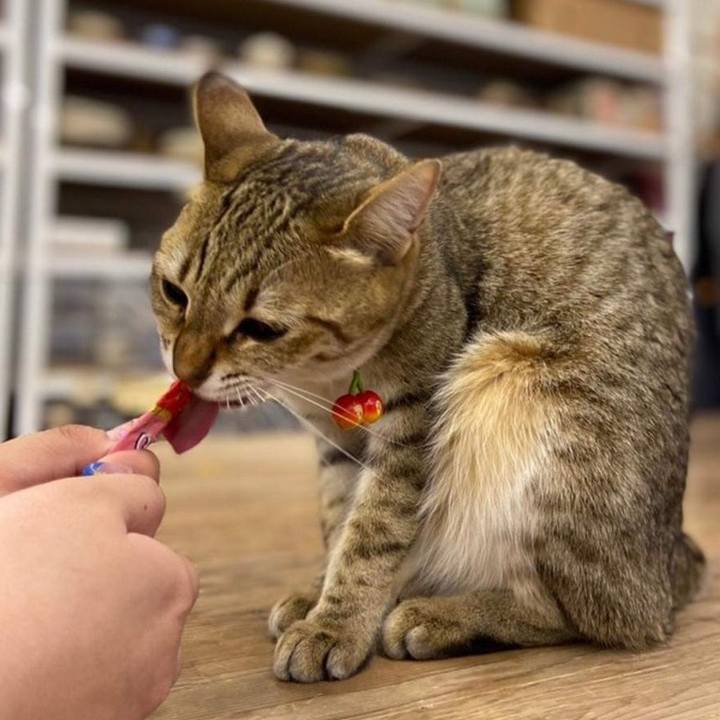 61b29166 4489 4a08 a649 a35990500fd7 1615535412784