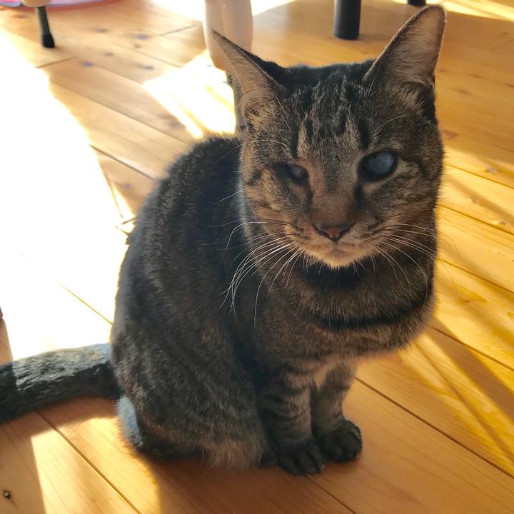 61b29fd7 6db6 43e8 8fb3 cf24e1b9c2b4 1549951831806