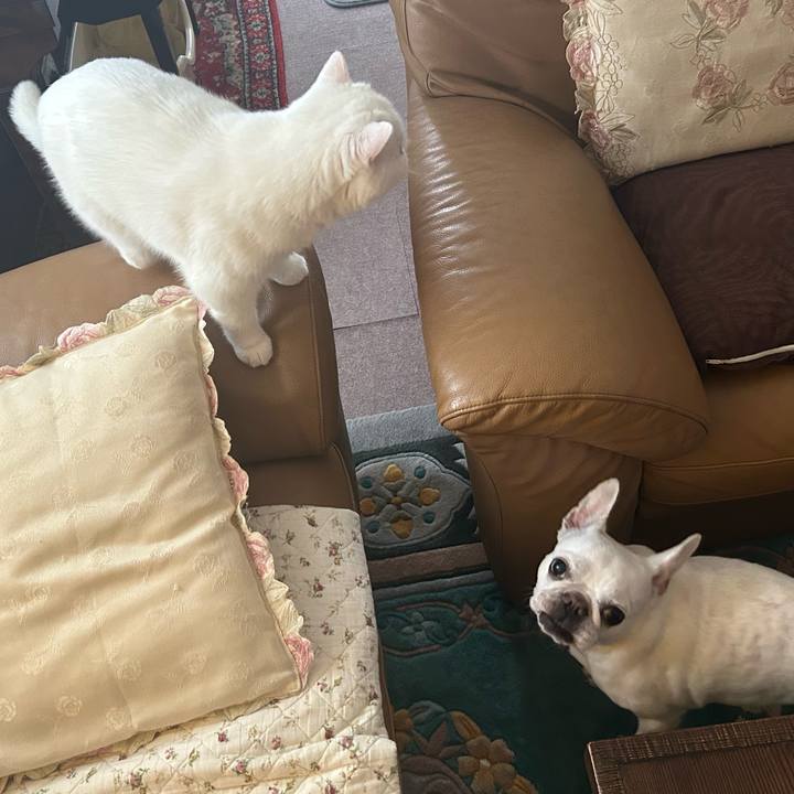 61b2b257 ef8d 43d9 9070 95913276957e 1691749998979