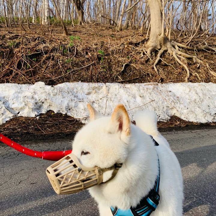 61b2d17e 17a5 470c bcc5 88d23d36bebe 1681078061731